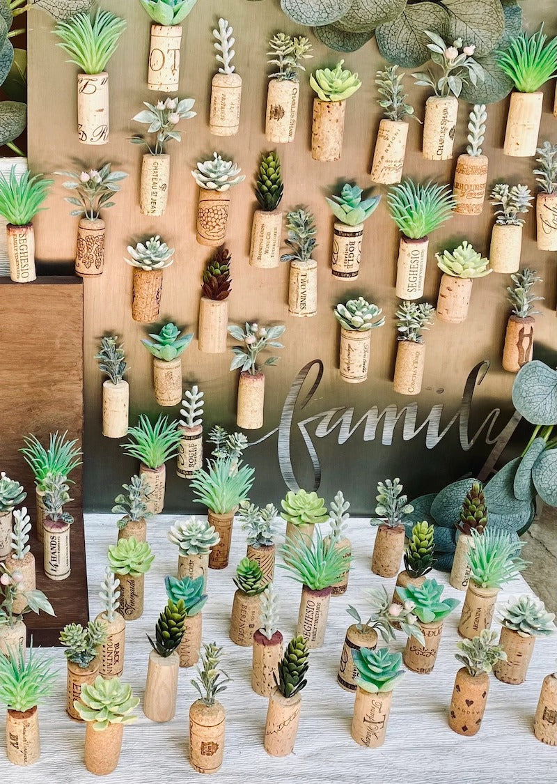 Succulent Cork Magnet Wedding Favors