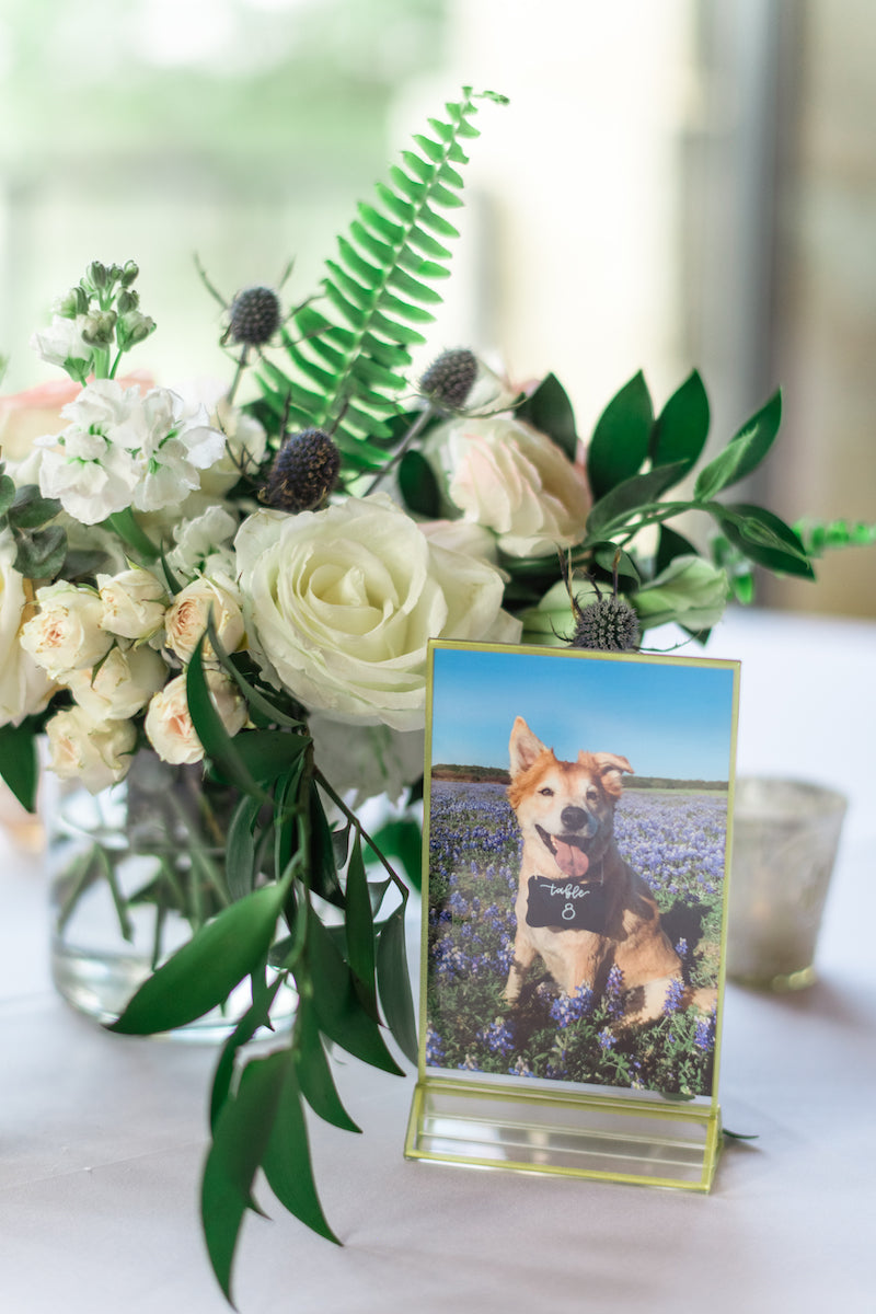 Wildflower Wedding with Dog Picture Table Numbers