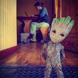 Bebe Groot Collector Articule Nature Zen