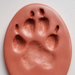 River and Birch Clay Impression Paw Print