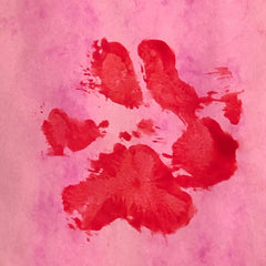 River and Birch Finger Paint Paw Print