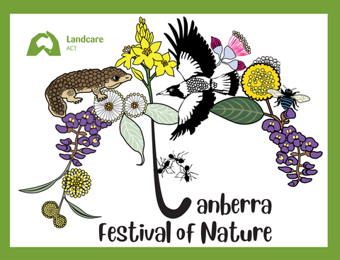 Festival of Nature event with NatureArt Lab