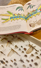 insect collection and books