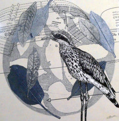 Curlew print by Sandra Pearce