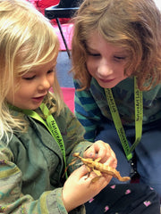 kids looking at an insect