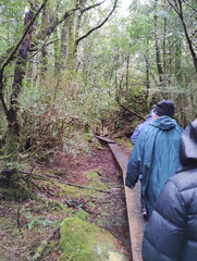 NatureArt Lab Tasmania Fungi Season Nature Tour 2023