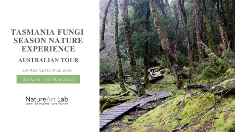 Tasmania Fungi Season Nature Experience - 14 days from 30 April - 13 May 2022 Australian art nature tour photography macro journaling