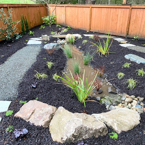 rain garden shungite