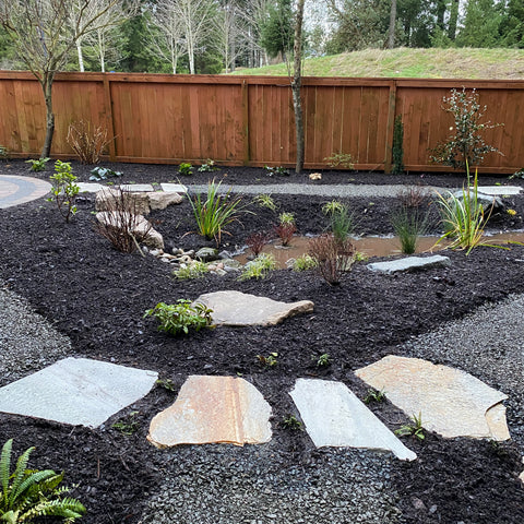 rain garden shungite