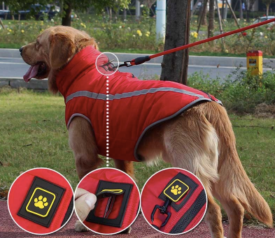 Waterproof Reflective Warm Safety Dog Jacket - BestPet