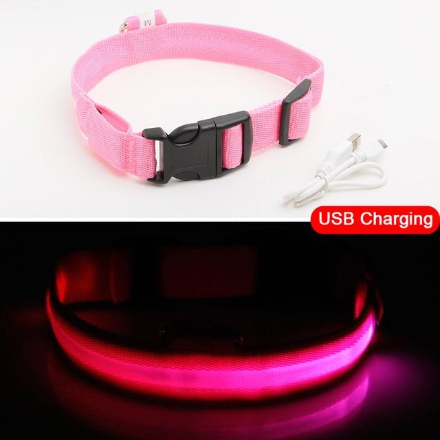 LED Safety Dog Collar USB Re-Chargeable 5 Colours! - BestPet