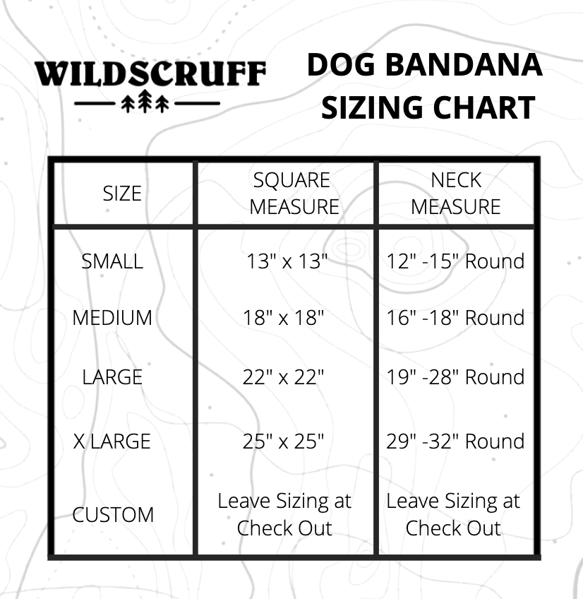 Winter Snow Dog Bandana
