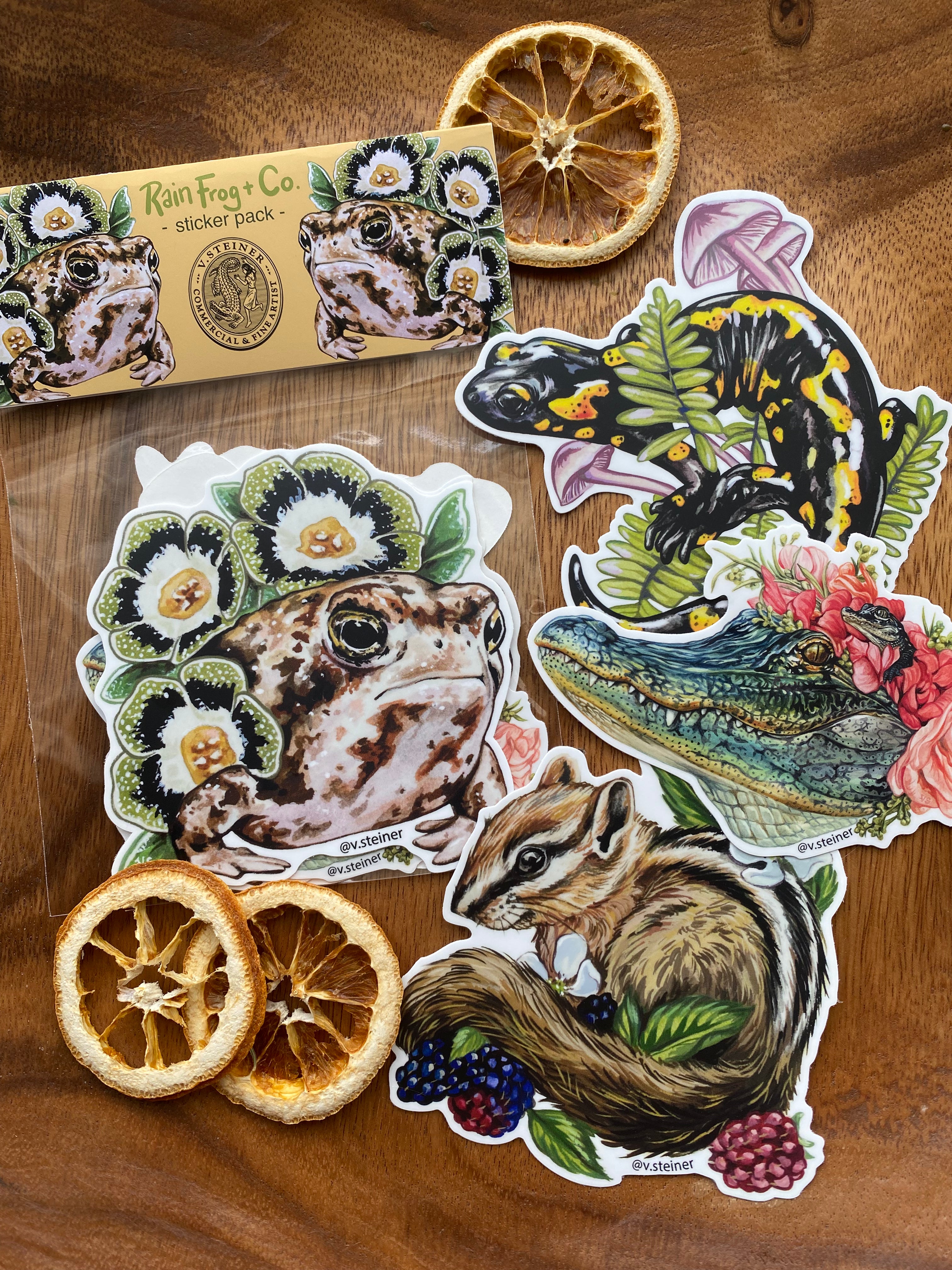 Rain Frog and Co. sticker pack of 4