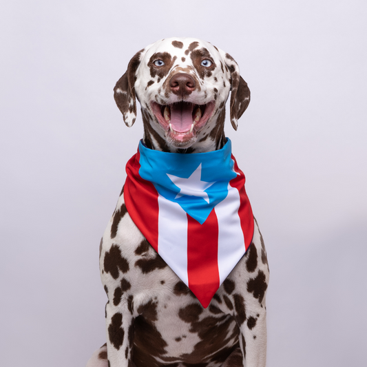 PUERTO RICO & SANTURCE FLAG (2-IN-1) - LICKco