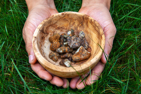 A light wooden bowl containing chunks of brown pieces and lumps, some with white specs on them. The bowl rests on the two hands of a person on a green grass background.