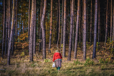 An elderly woman in a red sweater, long purple skirt, and green floral bandana, holding a white bag in her left hand and a wooden stick in her right hand. She is walking into a forest of tall, thin trees. 