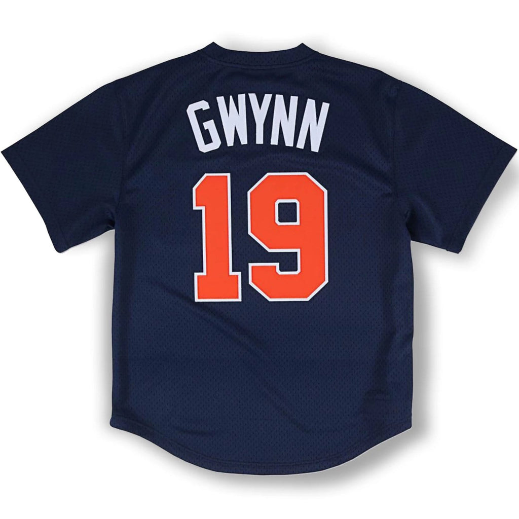 san diego padres tony gwynn jersey