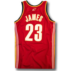 vintage lebron james jersey