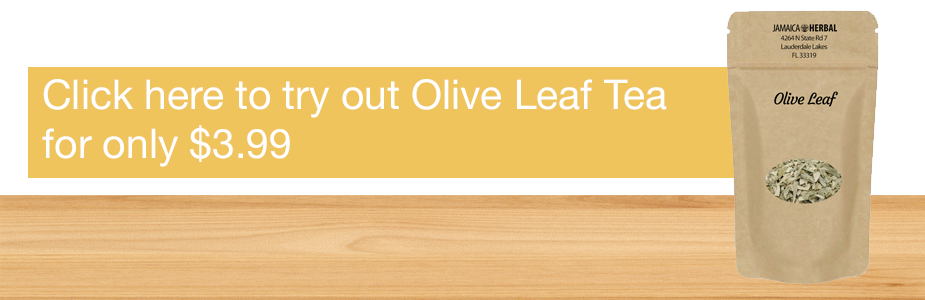 buy olive leaf tea
