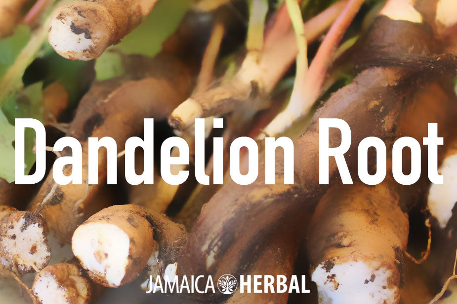 Benefits of Dandelion root tea