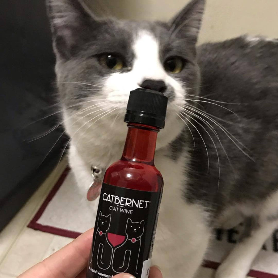 catbernet cat wine