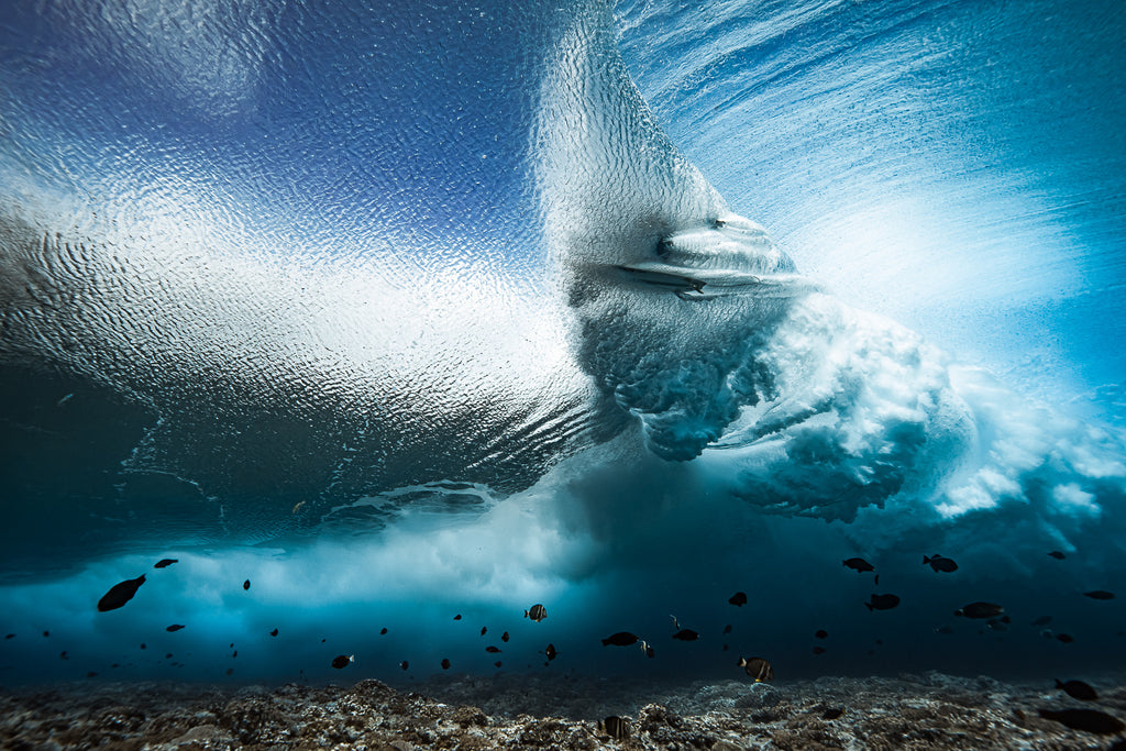 UNDERWATER WORLD – Ben Thouard