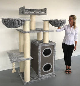 Cat Trees – Cat Tree King Australia