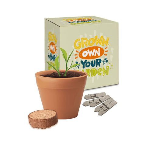 Beautiful boxed pot garden with custom printed box sleeve with your marketing message and business branding