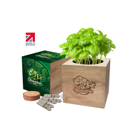 Eye-catching, wooden cube garden. Custom-printed sleeve making a great eco friendly promotional product and corporate gift.