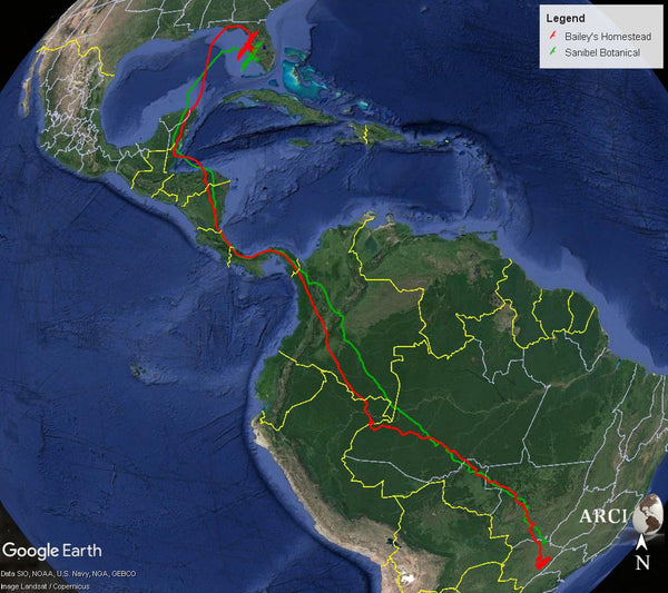 GPS tracks of two Swallow-tailed Kites between breeding in Florida and South Carolina, and wintering in South America