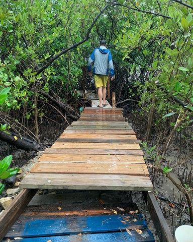 DLP walking down wooded wooden path leading to water in Puerto Rico