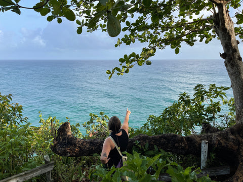 JFO spotting the White-tailed Tropic Birds