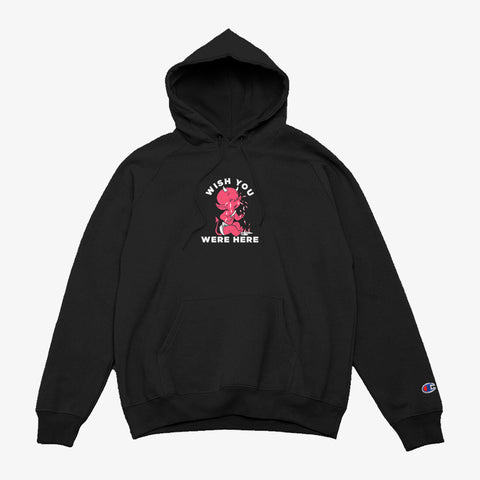 champion hoodie wish