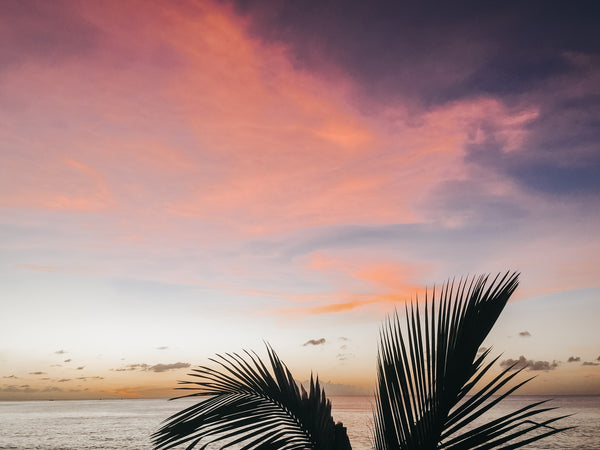 Barbados Sunset