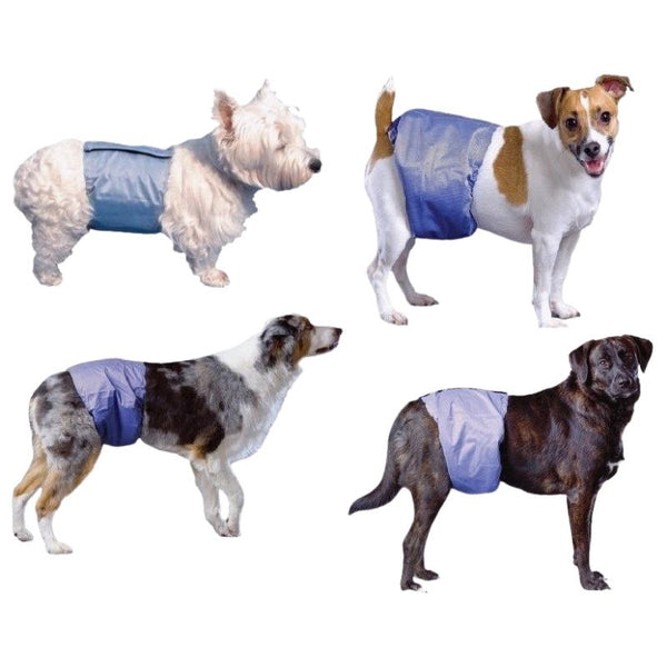 Disposable Absorbent Dog Diapers, Little Bit Western