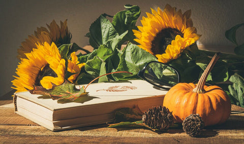 Sunflowers and pumpkins