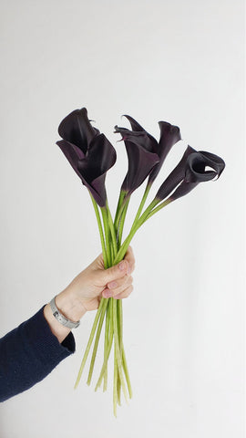 Black Calla Lilies