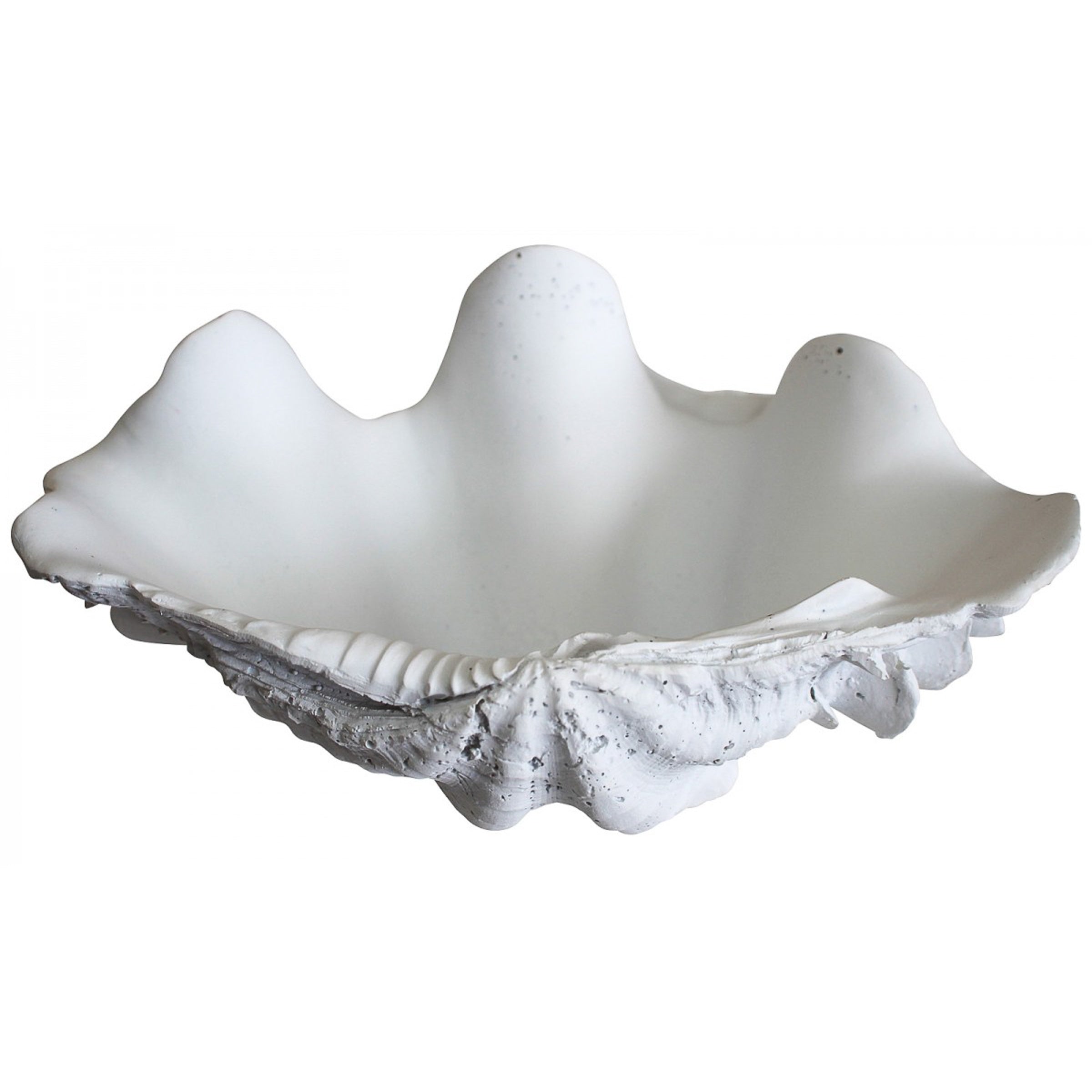 fake giant clam shell