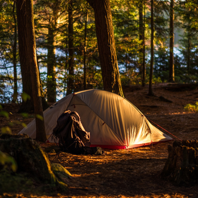 Tente de camping en forêt au soleil