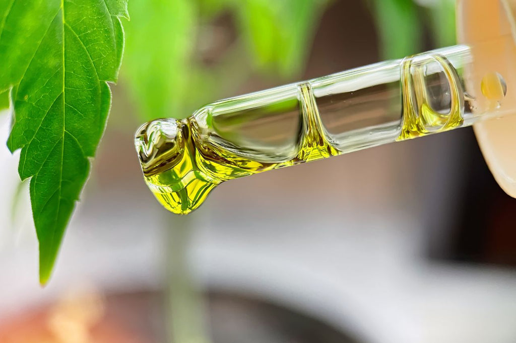 How Much Hemp Oil Should I Use