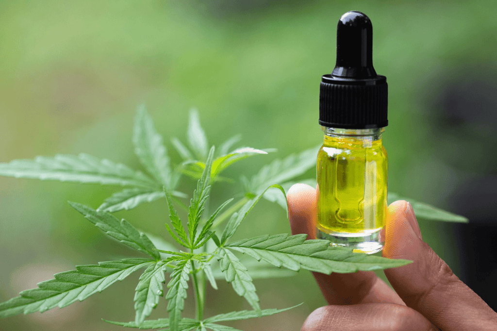 Cos'è l'olio di CBD?