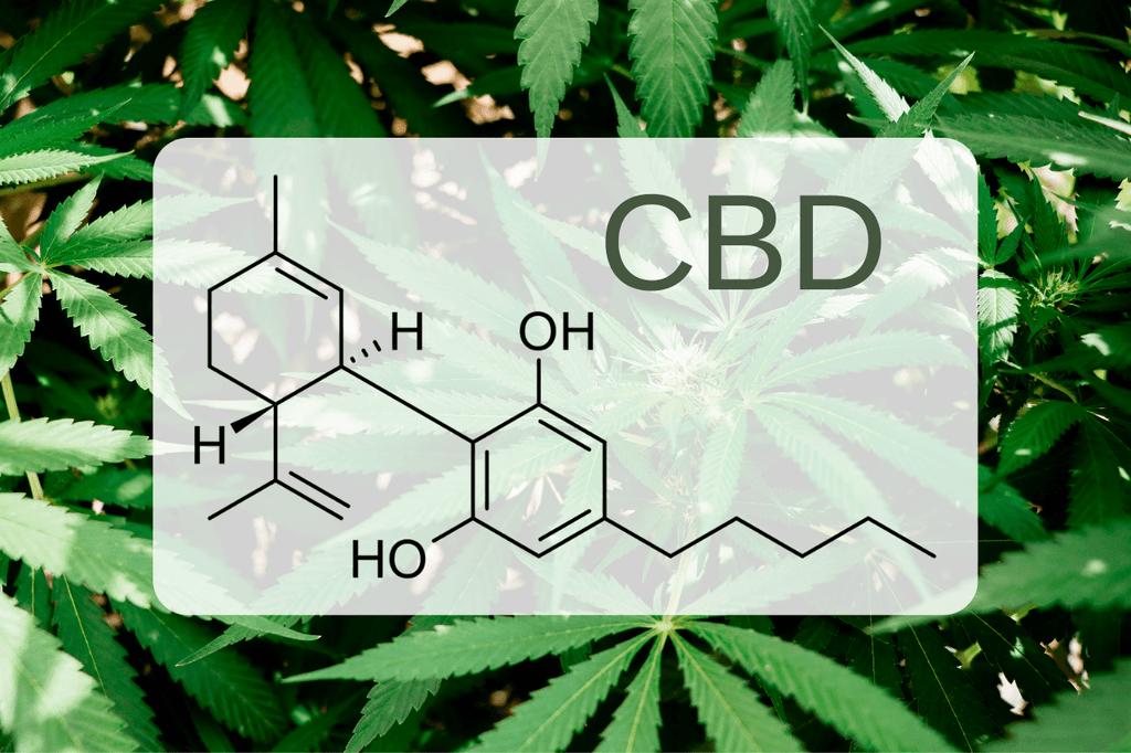 Какво представлява CBD маслото?