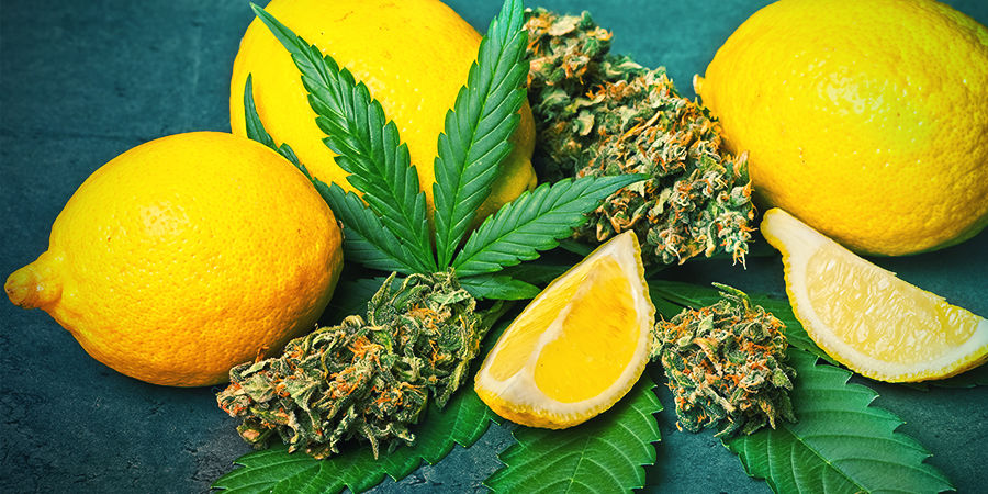Limoneen in cannabis