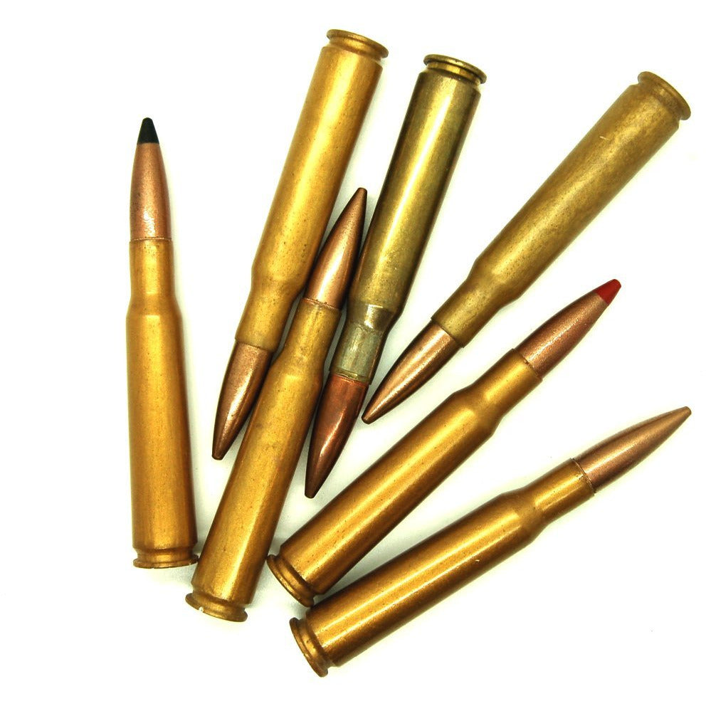 50 Cal Ammo Types