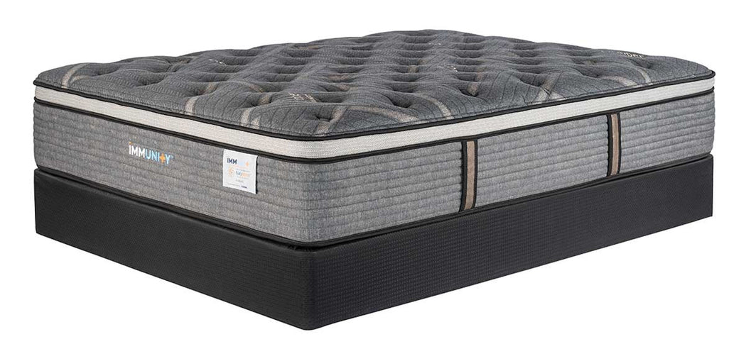 auburn euro top mattress