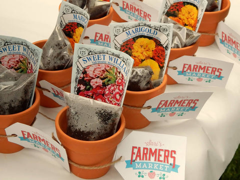 DIY Plant Kit party favors for a Farmer's Market Theme party