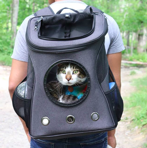 cat backpack for two cats