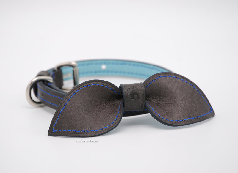 dapper dog collars