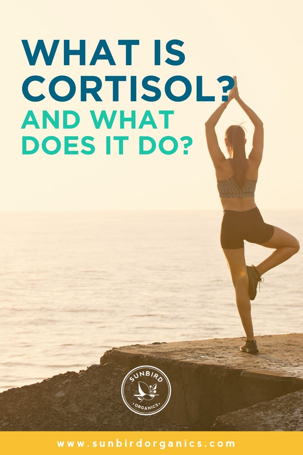 What is cortisol?