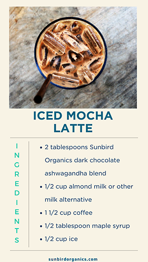 Iced Mocha Latte Recipe